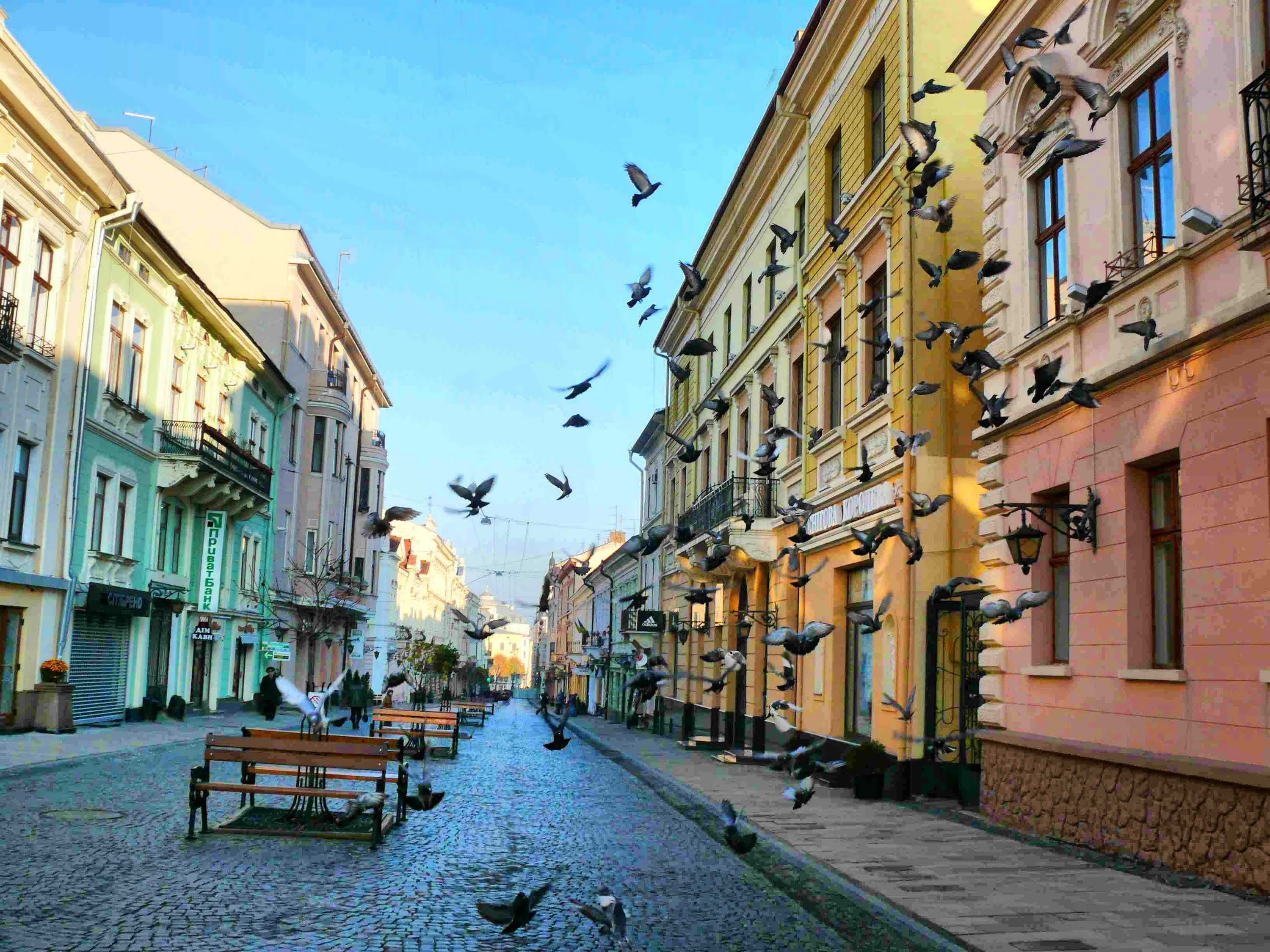 5 міст України, в які кортить поїхати навесні (фото+відео)