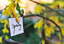 Синоптик розповіла, коли розпочнеться справжня весна