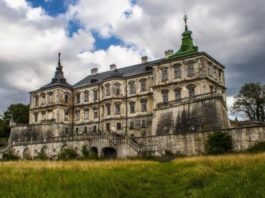 Вперше за 79 років Підгорецький замок відкрили для відвідувачів (фото)
