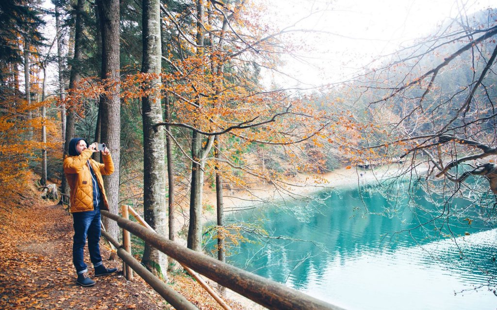 Відпочинок восени: чому варто поїхати у Карпати