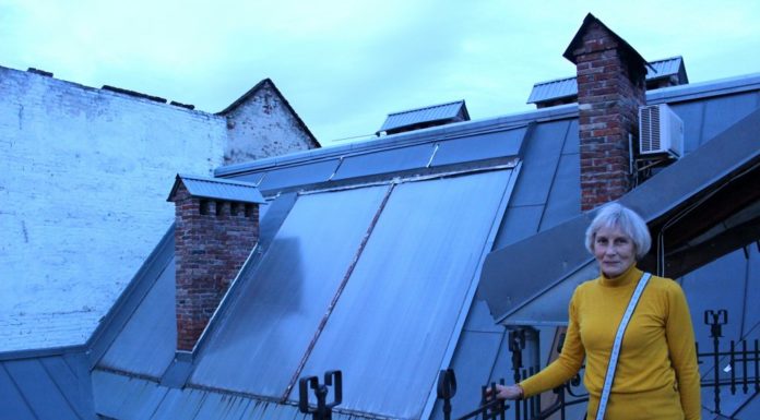 «У мене навіть газ не проведений». Історія першої львів’янки, яка у квартирі встановила сонячні батареї