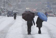 Сніг і морози -30: народний синоптик розповів, коли в Україну прийде зима