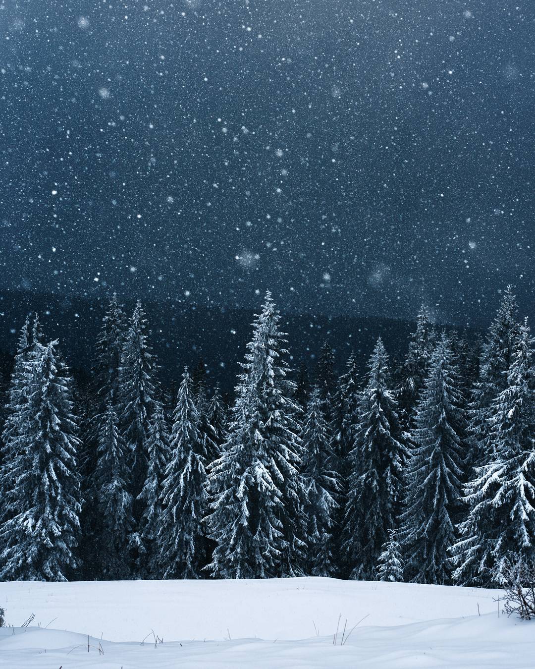 Український фотограф показав як виглядає зима в Карпатах