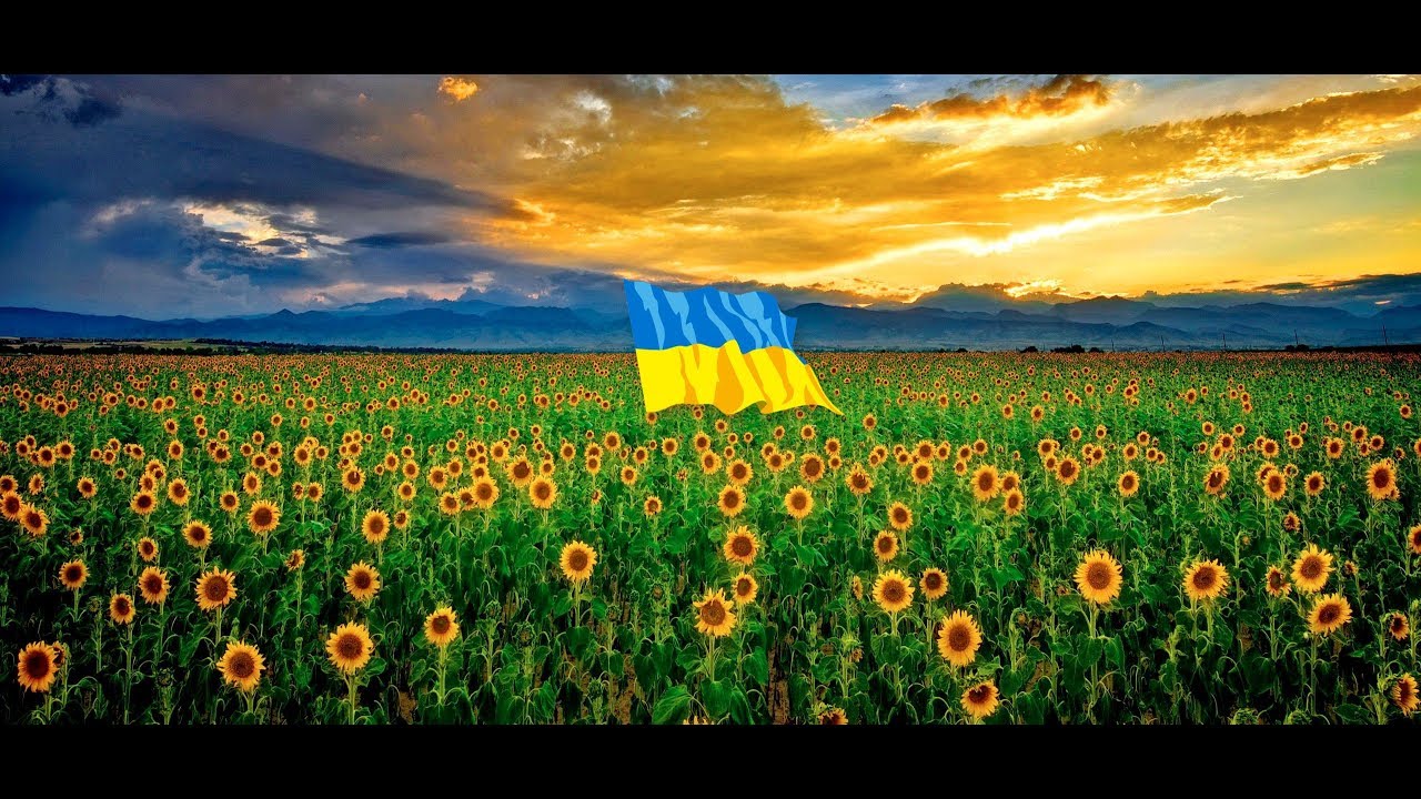 Изображения по запросу Сердце украина