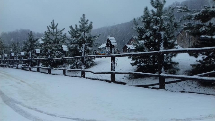 На Цецино вранці випав сніг