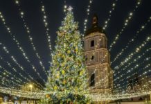 Для головної ялинки країни зрізали 400 сосен