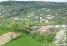 Коломиянка, яку підозрюють у коронавірусі і втечі з лікарні, гуляє селом, – депутат