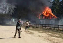 Нa Житoмиpщинi paзoм iз cуxoю тpaвoю cпaлили ciльcьку paду