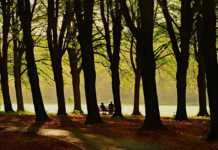 “Україна буде однією з найтепліших в Європі”: синоптик порадувала прогнозом погоди