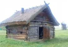 У мережі показали найстарішу хату у Європі, що «родом» з Волині (ФОТО)