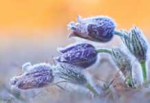 В Україну увірвуться аномальні морози та сніги: синоптик шокувала прогнозом погоди