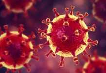 528 нових випадків за добу: статистика МОЗ стосовно COVID-19 станом на 16 травня