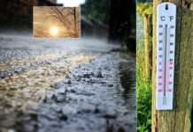 Чому прогнози погоди в Україні “брешуть” і як по них вдарив коронавірус: синоптики показали залаштунки