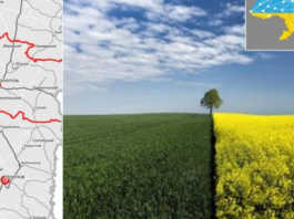 В Україні захотіли “перекроїти” області: показали проєкт оновленої карти