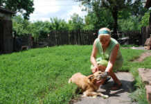 На Сході жінка 2 км несла пораненого собаку по замінованій стежці, аби врятувати