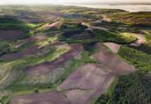 Українці можуть залишитися без даху над головою, а річки – висохнути назавжди: чим небезпечні природні катаклізми