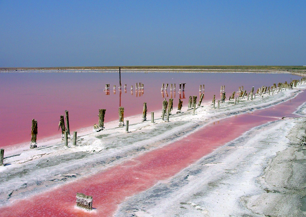 Генічеське рожеве озеро як доїхати дістатись