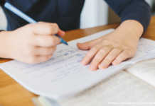 Російська буде єдиною офіційною мовою на Донбасі, українську скасовують навіть у школах