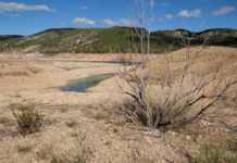 У Криму пересохли річки через аномальну посуху: на місці струмків тепер калюжі