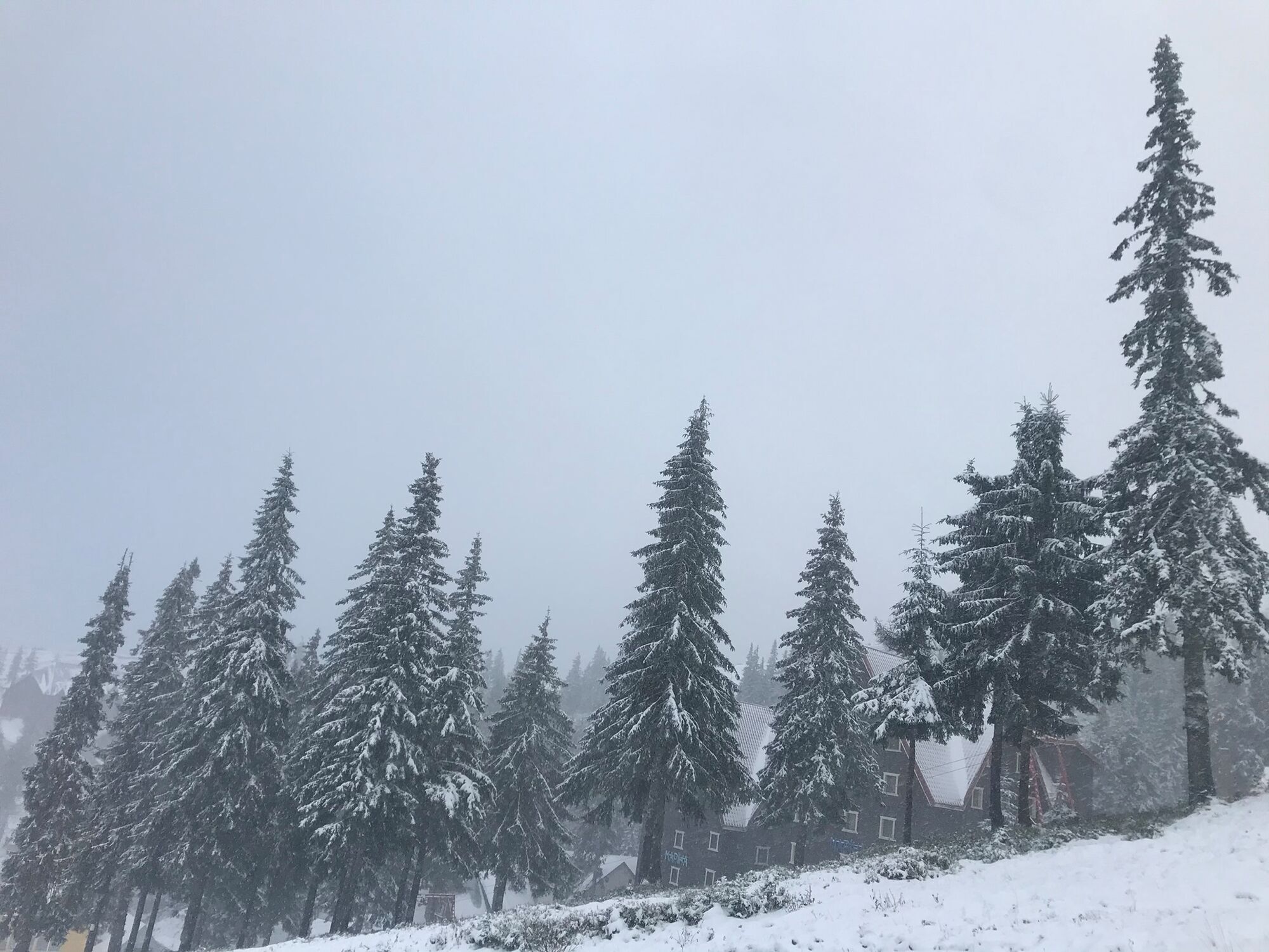 Перший сніг на Драгобраті випав 14 жовтня