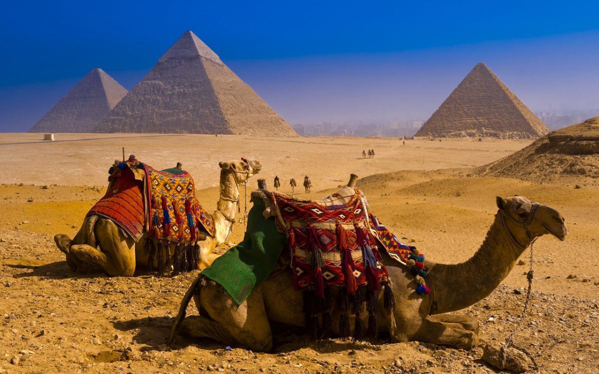 Єгипет – топ-країна для відпочинку влітку великими компаніями та сім'єю.