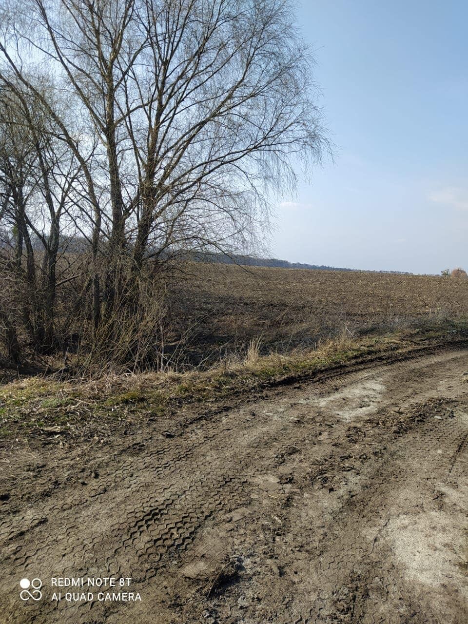 Тіло заховали у закинутій канаві на Київщині