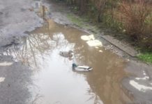 У Львові на вулиці Стрийський в глибоких калабанях плавають качки