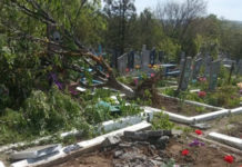 У Луганській області бойовики зруйнували кладовище за допомогою військової техніки