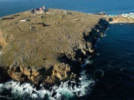 Росіяни евакуювали залишки гарнізону з острова Зміїний