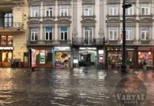 У Львові буревій знову наробив лиха (відео, фото)