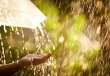 Дощі і послаблення спеки: прогноз погоди на сьогодні