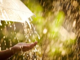 Дощі і послаблення спеки: прогноз погоди на сьогодні