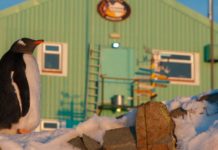 Україна шукає полярників на нову антарктичну експедицію. Середня зарплата – 54 тис. грн