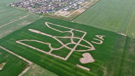 Величезний герб України з кукурудзи створили на полі під Києвом. Фото дня -  ZAXID.NET