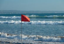 Комарі, сонечка і водорості вже не головна проблема: в Кирилівці почалося нове нашестя