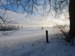 Кому сьогодні не можна говорити із хворими та яка прикмета вкаже на холодний Новий рік