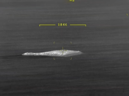 Залужний показав, як російські окупанти тікали зі Зміїного і як нам допомогла українська гаубиця “Богдана”