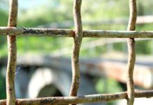 Понад 40 застінків з нелюдськими умовами по всій Росії: правозахисники розповіли, де і як утримують полонених українців