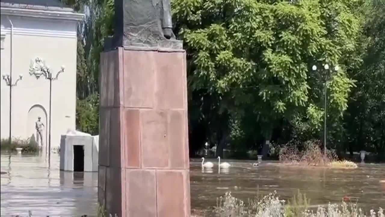 У Новій Каховці біля Палацу культури через затоплення внаслідок підриву ГЕС плавають лебеді. Відео