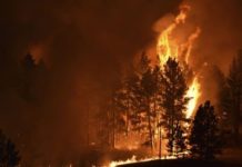 В Україні оголошено надзвичайний рівень небезпеки: карта областей