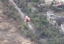 Спецпризначенці з СБУ знищили “Термінатор” і “Сонцепьок”