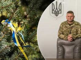 На тлі святкової ялинки: Залужний разом з дружиною привітав українців