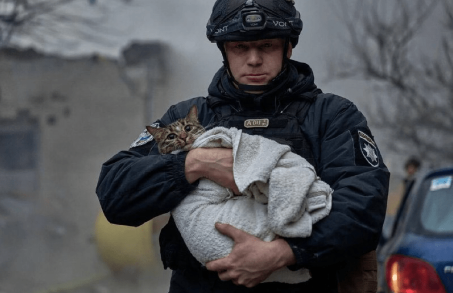 Поліцейський врятував котика