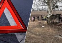 Маршрутка з людьми вилетіла з траси на Дніпропетровщині: що відомо про кількість жертв