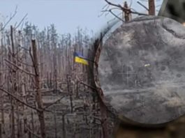 Щоб окупант пам’ятав, на чиїй він землі: стяг України замайорів за 100 метрів від позицій ворога