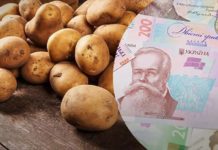 Цьогоріч на вагу золота: які ціни на картоплю у супермаркетах у жовтні