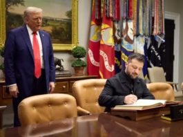 Зеленський може прийняти пропозицію Трампа про заморожування лінії фронту, – Axios