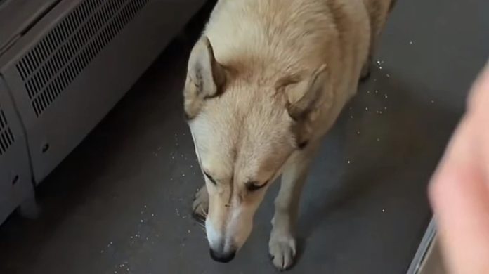 d5714dc1009e893281b7e85a366babfe