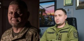 Таємно готувалися: Залужний і Буданов знали про вторгнення ще до його початку, – The Guardian