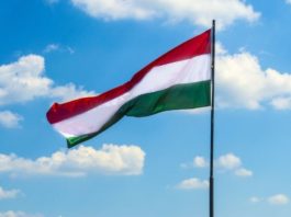 Мадяр зробив гучну заяву про умови завершення війни в Україні: яка позиція Угорщини